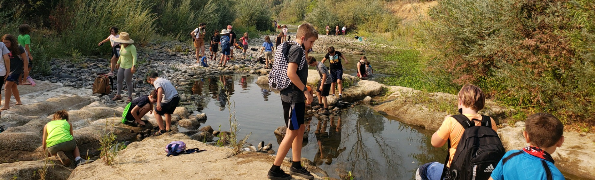 Students exploring in the river